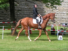 REMPARTS LONGWY 2008 131
